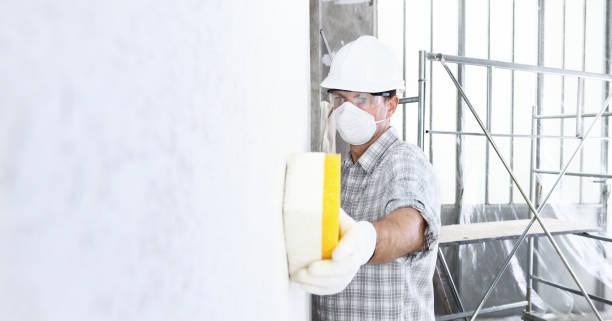 Best Industrial Mold Remediation  in St Marys, PA